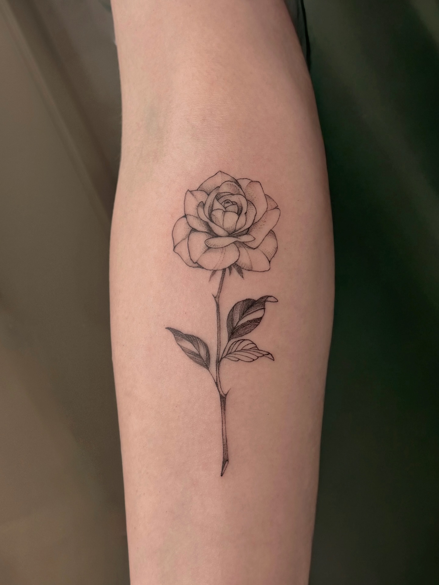 31 Rose Tattoo Designs 2026: Beautiful Ideas for Every Style, Placement, and Personality