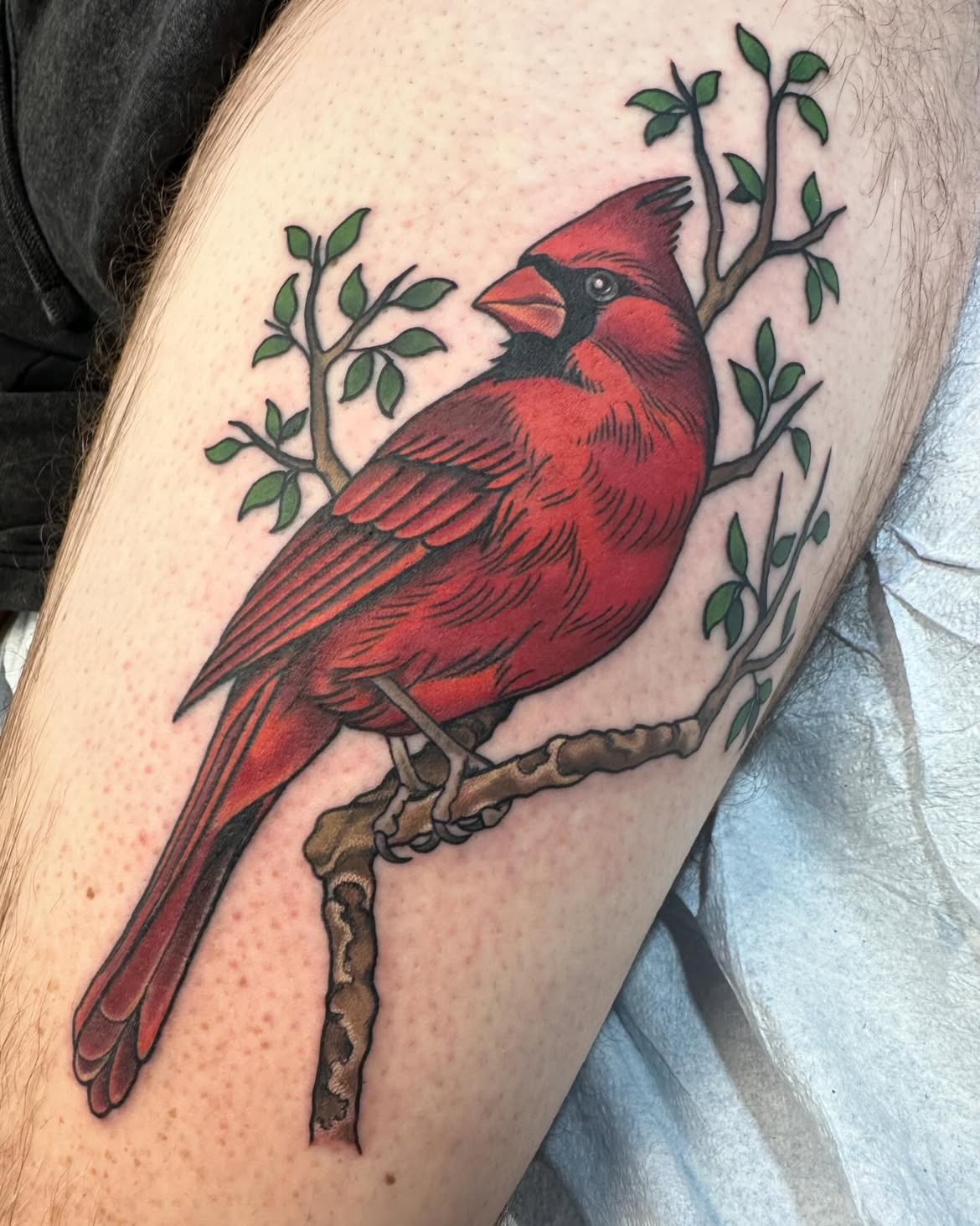 29 Cardinal Tattoo Ideas 2026: Beautiful Red Bird Designs Full of Meaning