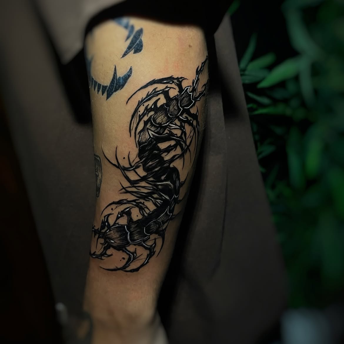 30 Centipede Tattoo Ideas 2026: Dark, Traditional and Blackwork Designs