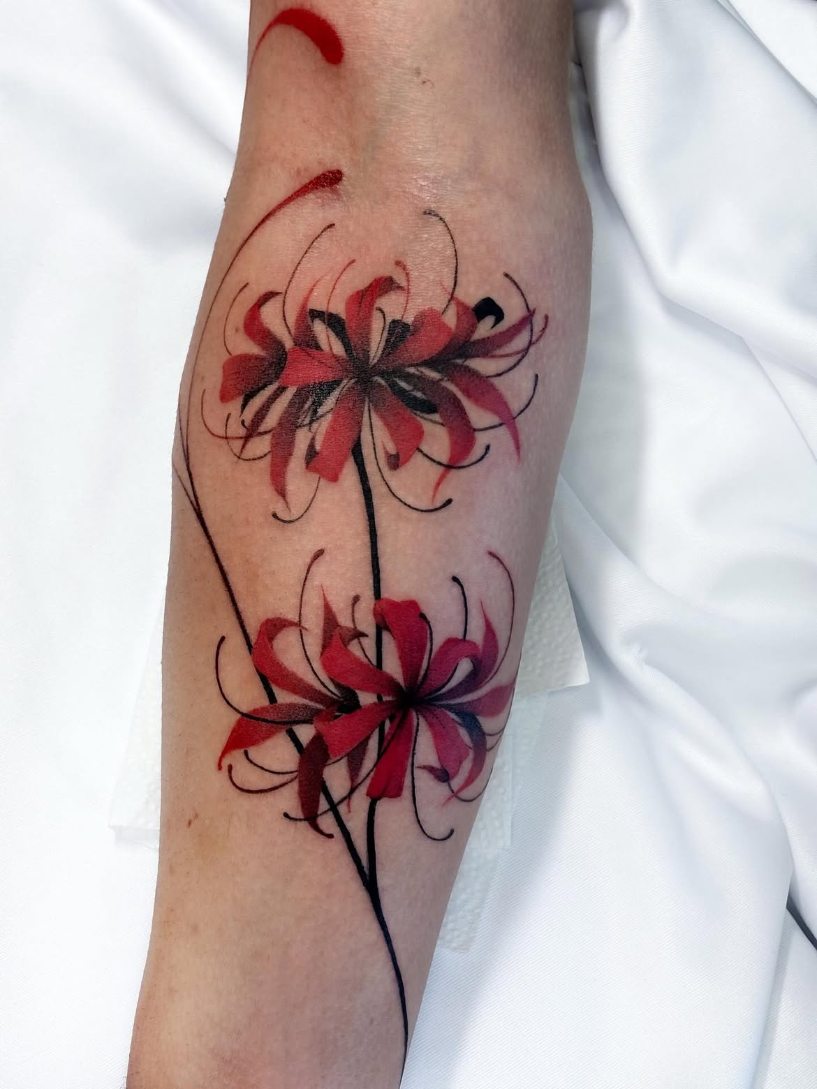 25 Spider Lily Tattoo Ideas 2026: Elegant, Symbolic & Japanese-Inspired Designs You’ll Love