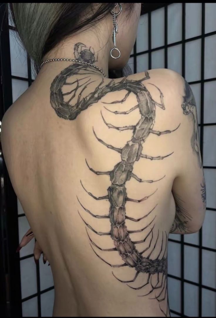 30 Centipede Tattoo Ideas 2026: Dark, Traditional and Blackwork Designs