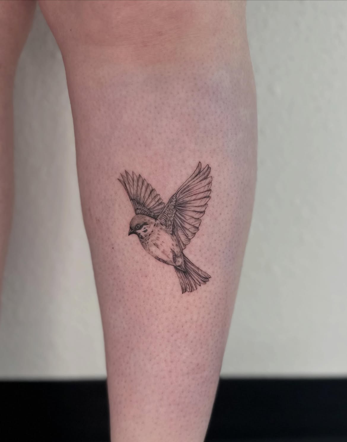 28 Sparrow Tattoo Ideas 2026: Fine Line, Traditional and Meaningful Designs