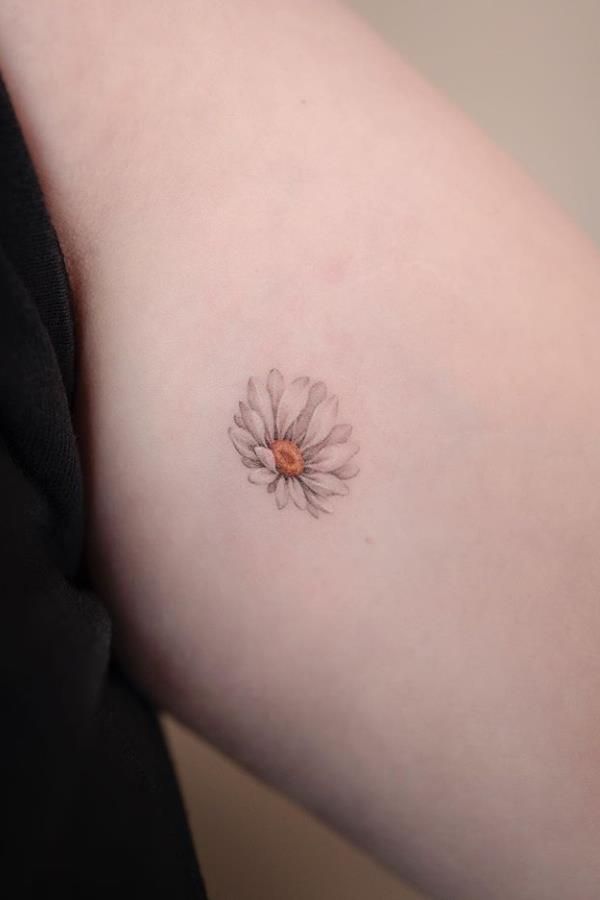29 Daisy Tattoo Ideas 2026: Beautiful Designs Full of Meaning, Simplicity, and Timeless Charm