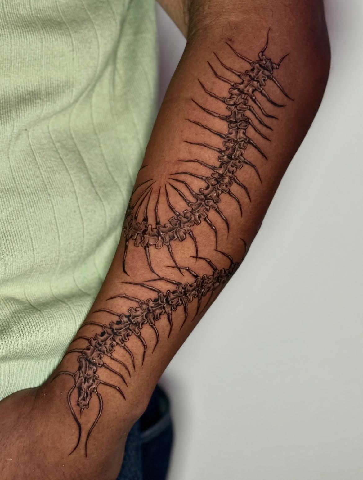 30 Centipede Tattoo Ideas 2026: Dark, Traditional and Blackwork Designs