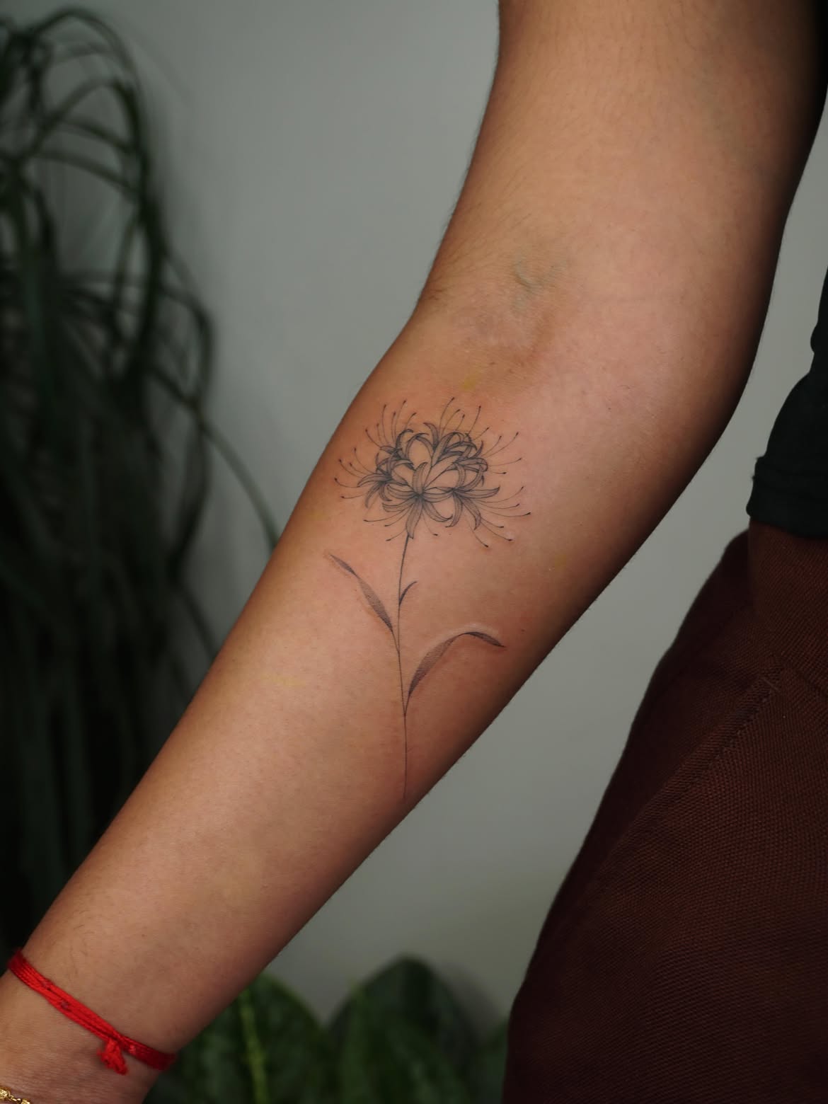 25 Spider Lily Tattoo Ideas 2026: Elegant, Symbolic & Japanese-Inspired Designs You’ll Love