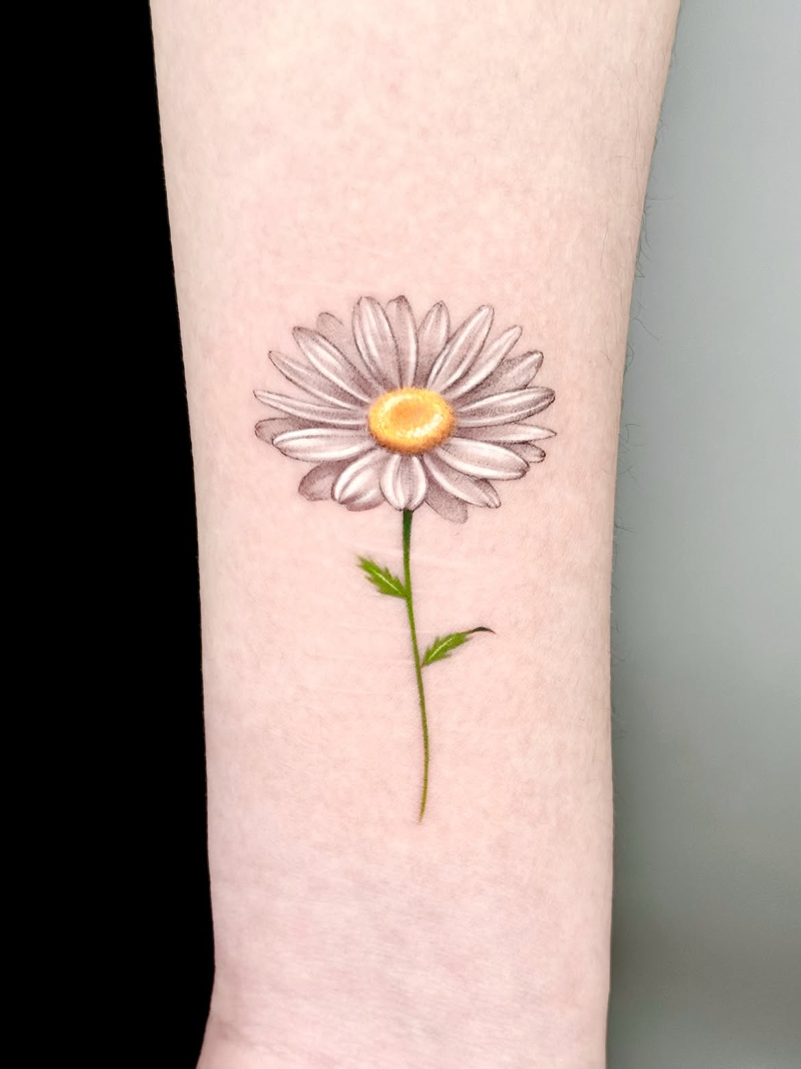 29 Daisy Tattoo Ideas 2026: Beautiful Designs Full of Meaning, Simplicity, and Timeless Charm