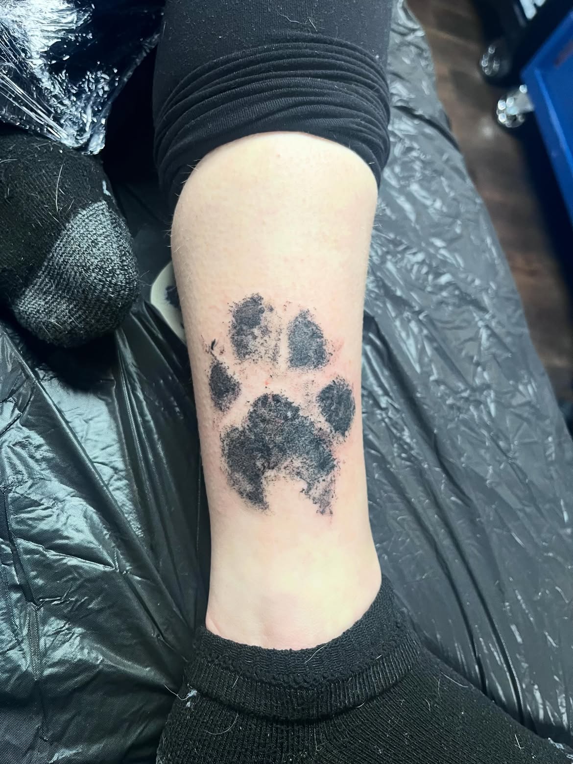 31 Paw Print Tattoo Ideas 2026: Heartwarming Designs That Celebrate Your Furry Best Friend