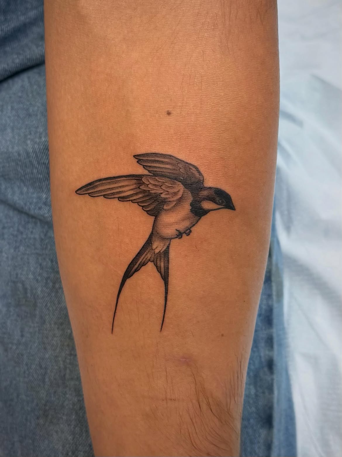 28 Sparrow Tattoo Ideas 2026: Fine Line, Traditional and Meaningful Designs