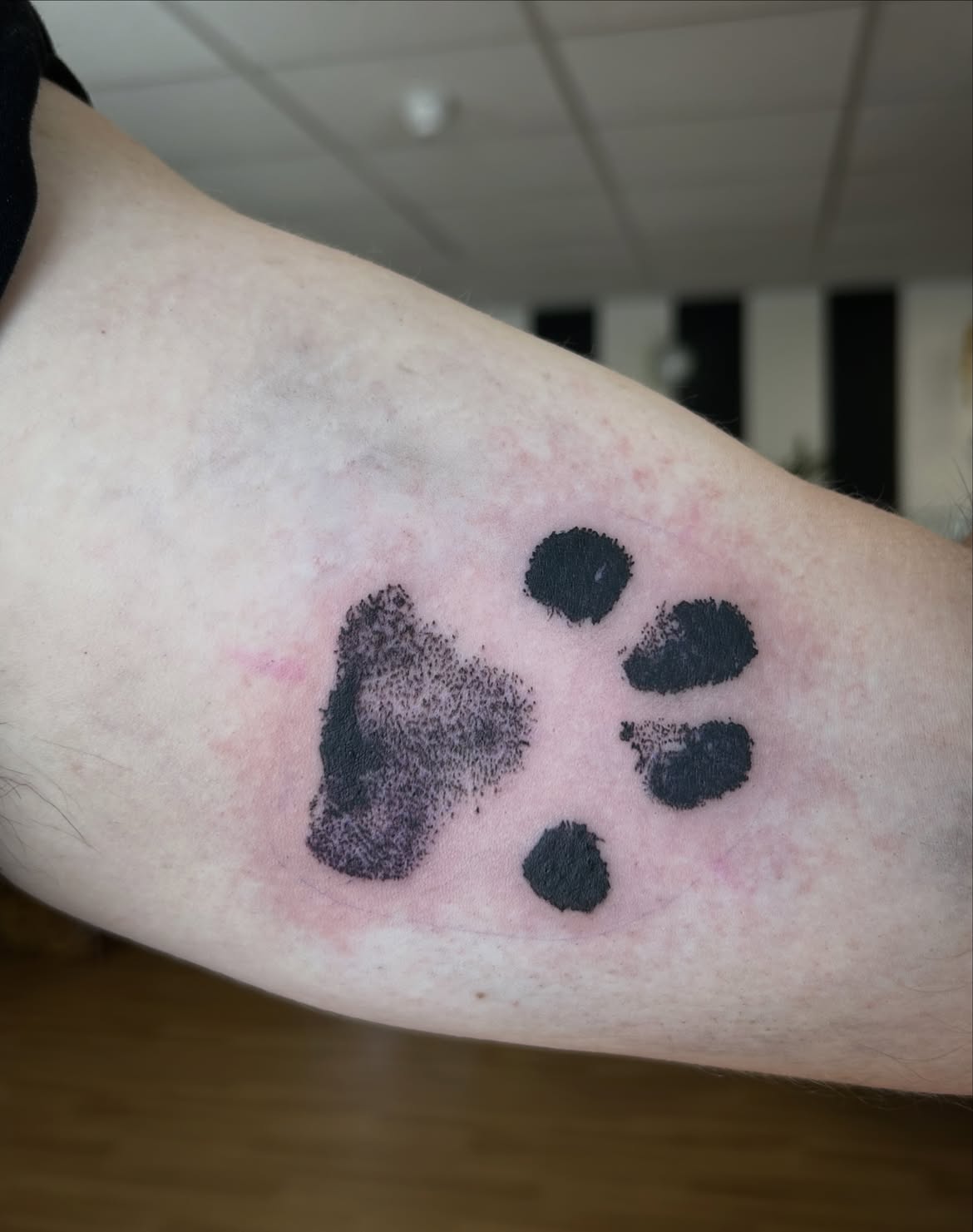 31 Paw Print Tattoo Ideas 2026: Heartwarming Designs That Celebrate Your Furry Best Friend