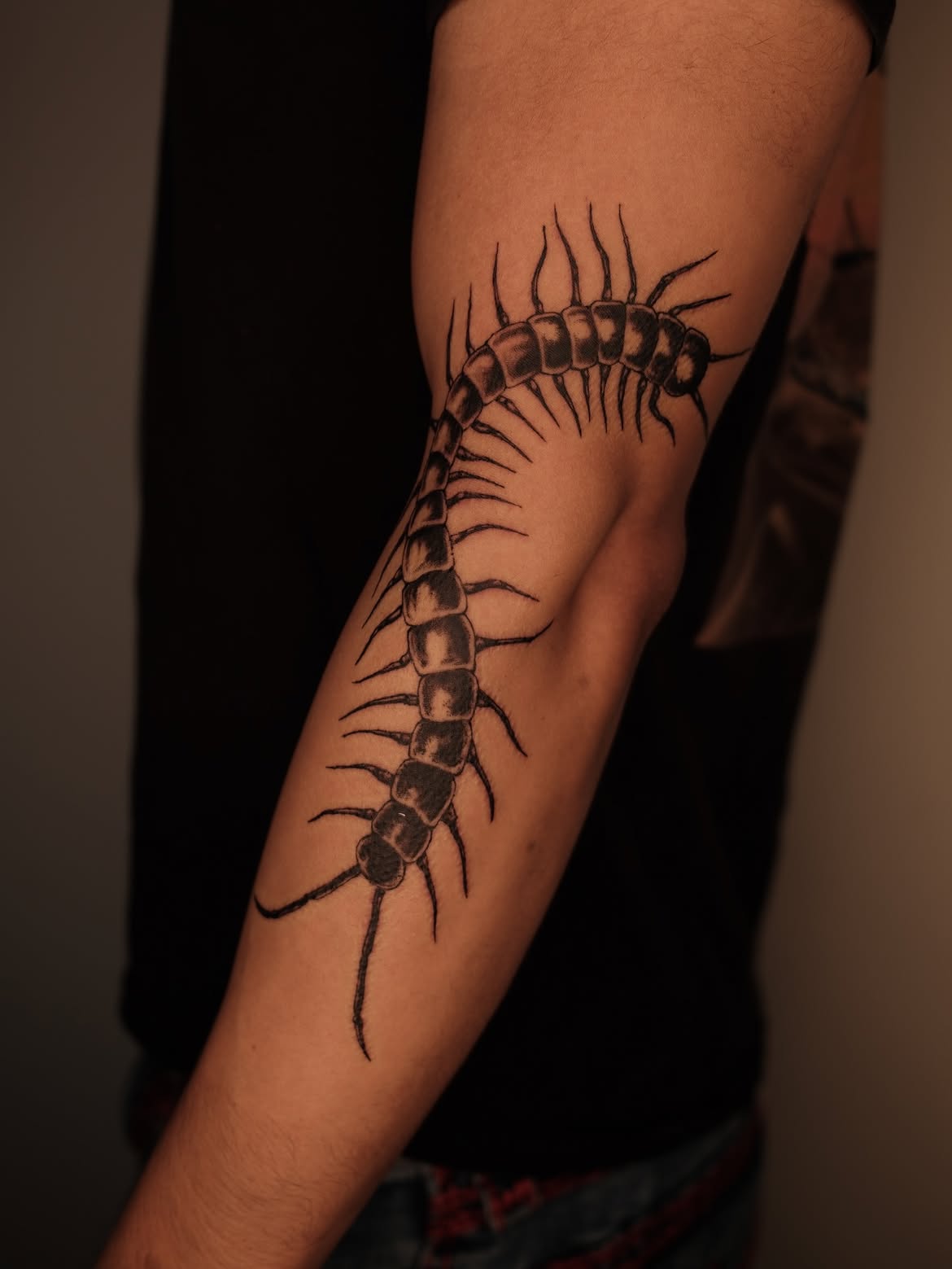 30 Centipede Tattoo Ideas 2026: Dark, Traditional and Blackwork Designs