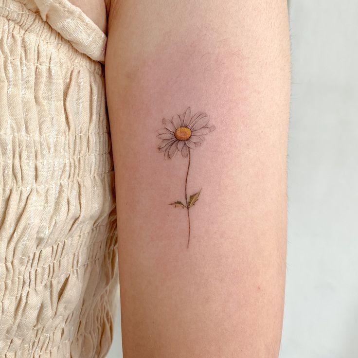 29 Daisy Tattoo Ideas 2026: Beautiful Designs Full of Meaning, Simplicity, and Timeless Charm