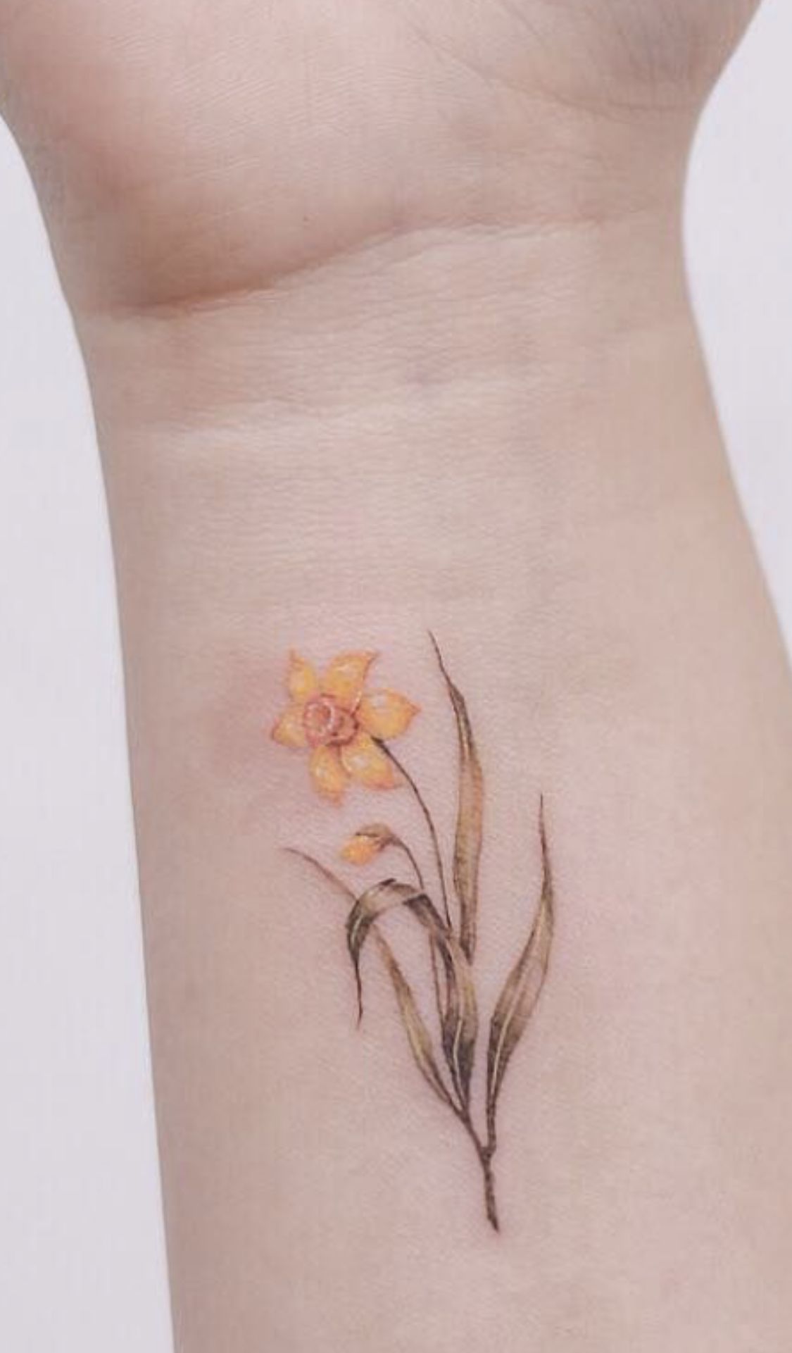 28 Daffodil Tattoo Ideas 2026: Beautiful Designs That Celebrate New Beginnings