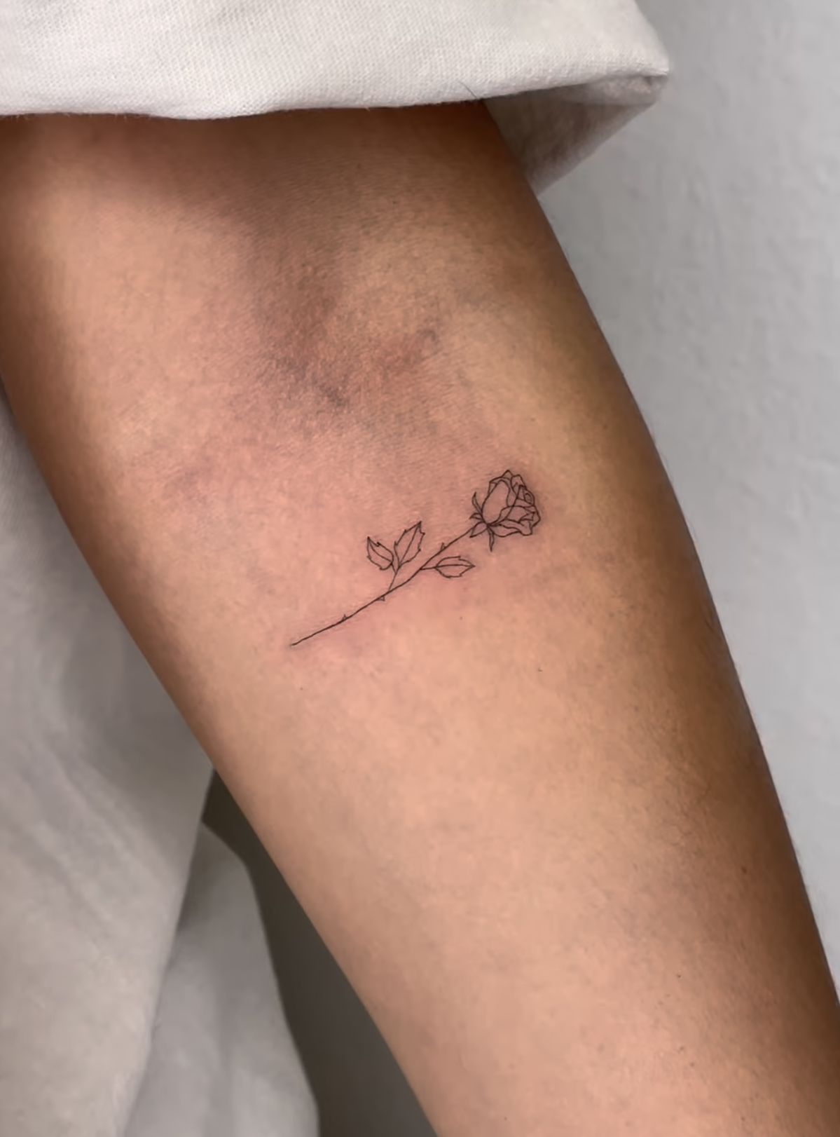 31 Rose Tattoo Designs 2026: Beautiful Ideas for Every Style, Placement, and Personality