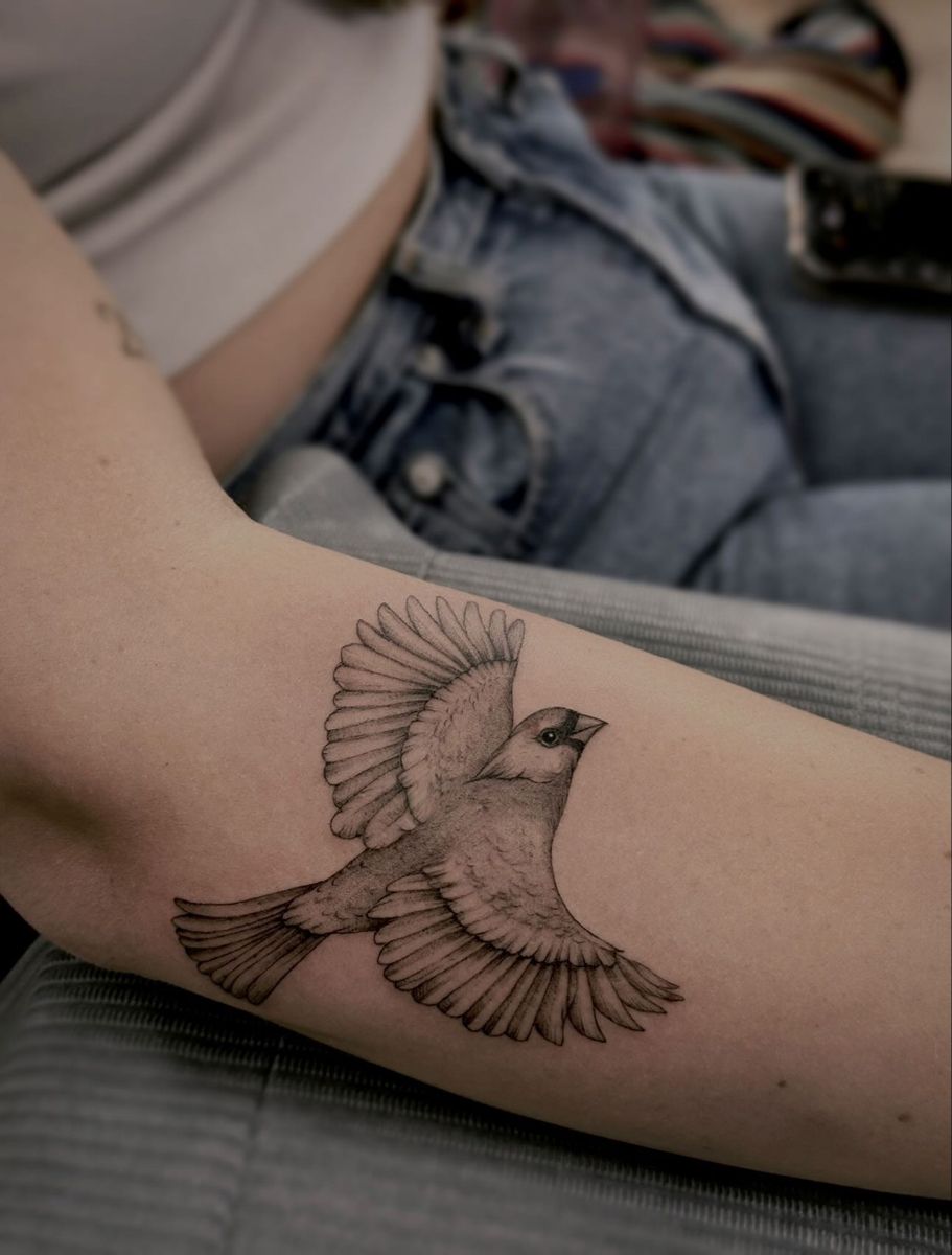 29 Cardinal Tattoo Ideas 2026: Beautiful Red Bird Designs Full of Meaning