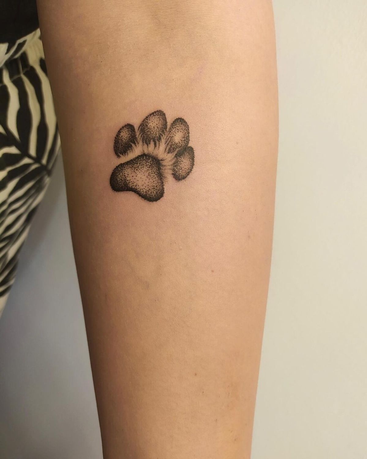 31 Paw Print Tattoo Ideas 2026: Heartwarming Designs That Celebrate Your Furry Best Friend