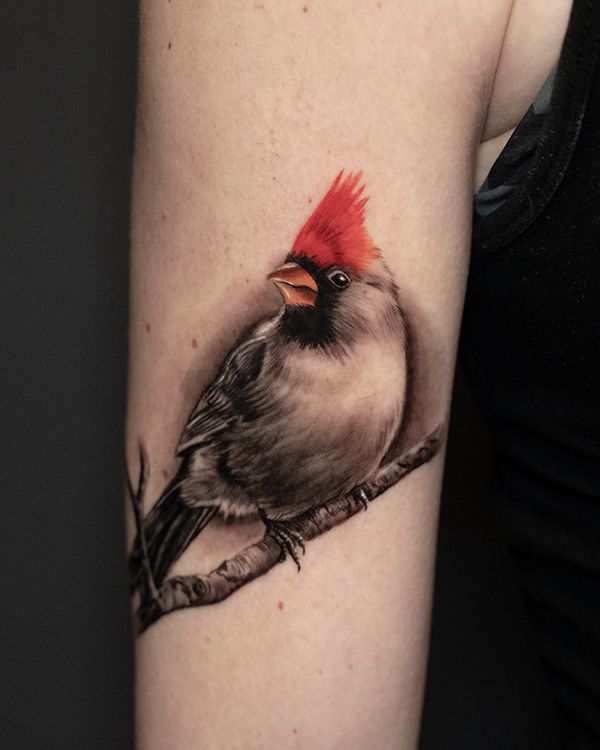 29 Cardinal Tattoo Ideas 2026: Beautiful Red Bird Designs Full of Meaning