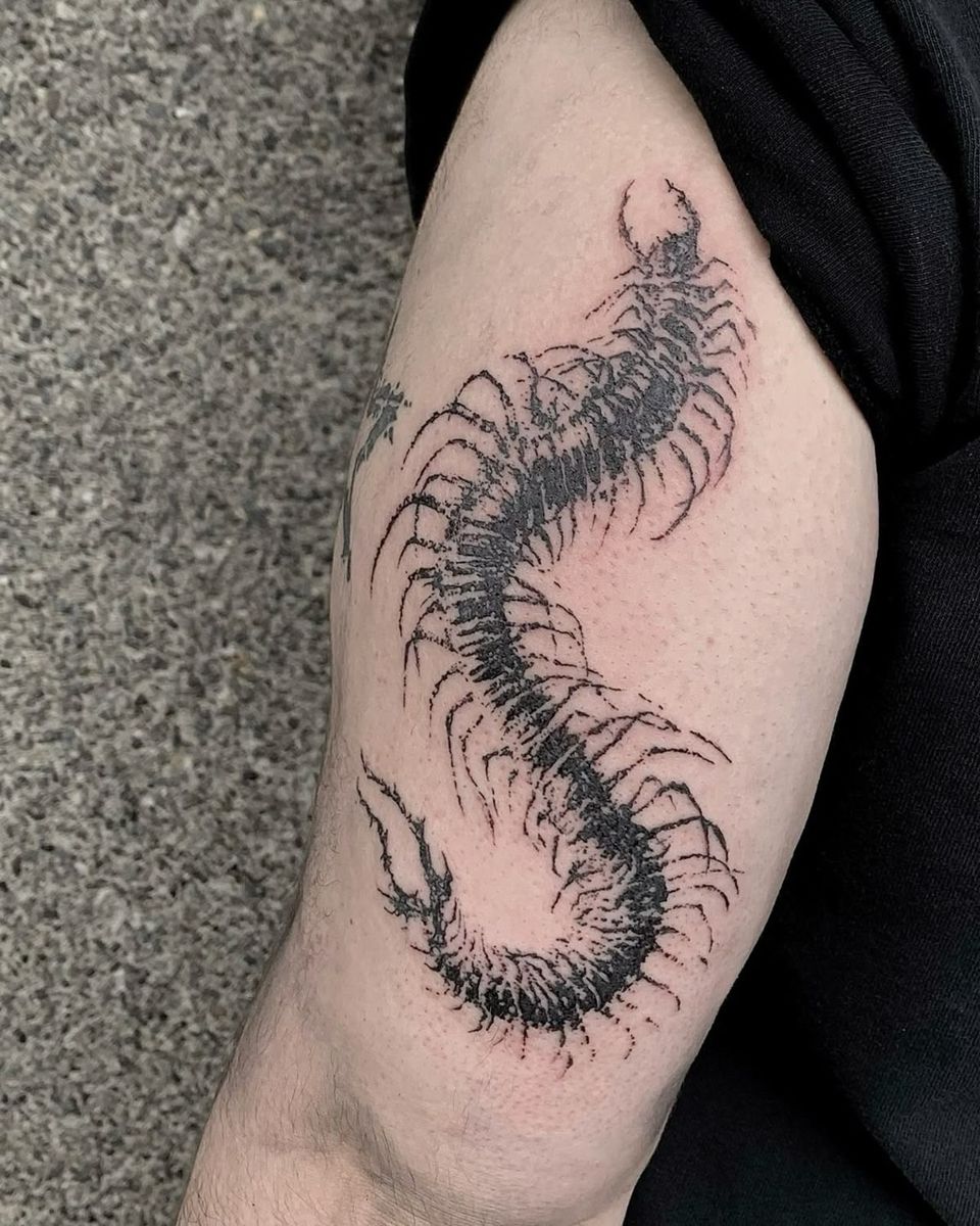 30 Centipede Tattoo Ideas 2026: Dark, Traditional and Blackwork Designs