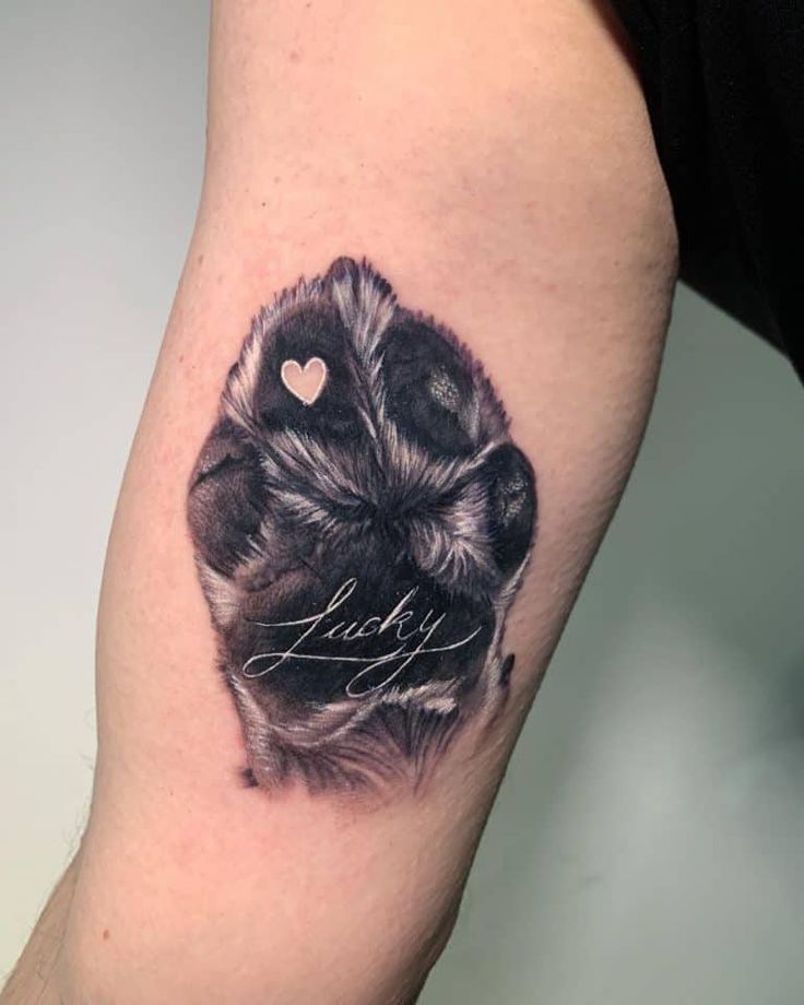 31 Paw Print Tattoo Ideas 2026: Heartwarming Designs That Celebrate Your Furry Best Friend