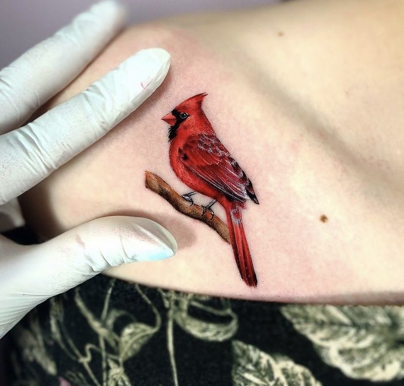 29 Cardinal Tattoo Ideas 2026: Beautiful Red Bird Designs Full of Meaning