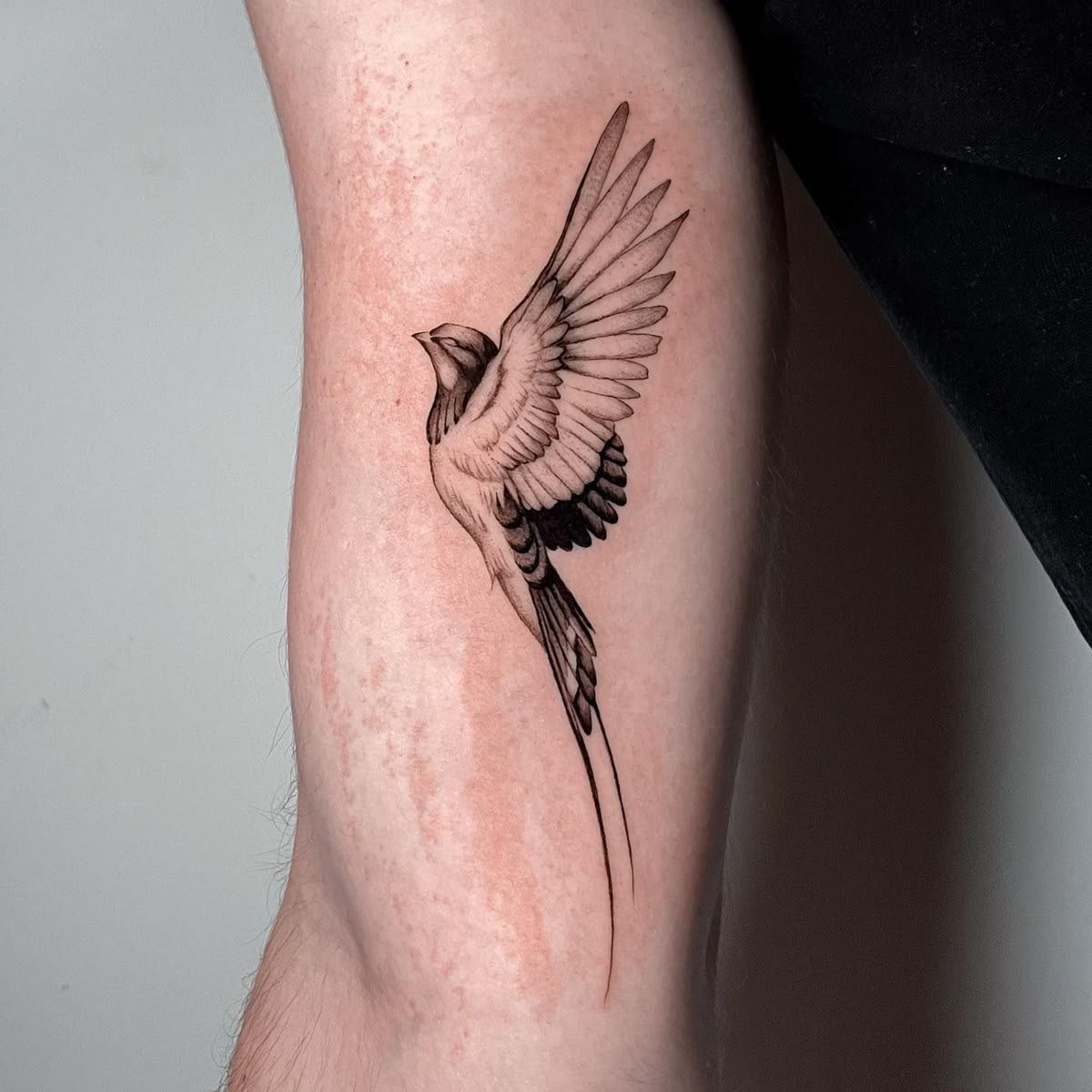 28 Sparrow Tattoo Ideas 2026: Fine Line, Traditional and Meaningful Designs