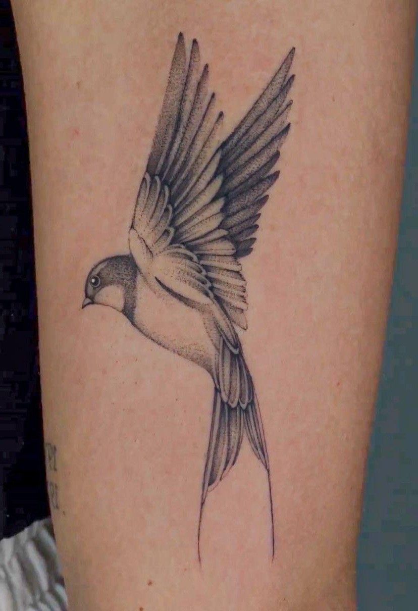 28 Swallow Tattoo Ideas 2026: Elegant Designs, Symbolism and Placement Inspiration