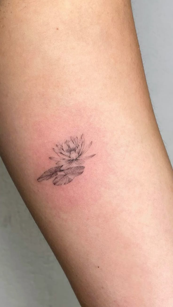 28 Water Lily Tattoo Ideas 2026: Beautiful Fine Line, Color and Japanese Designs