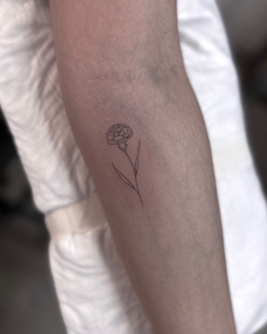 28 Carnation Tattoo Ideas 2026: Delicate Florals, Fine Lines, and Rich Red Ink