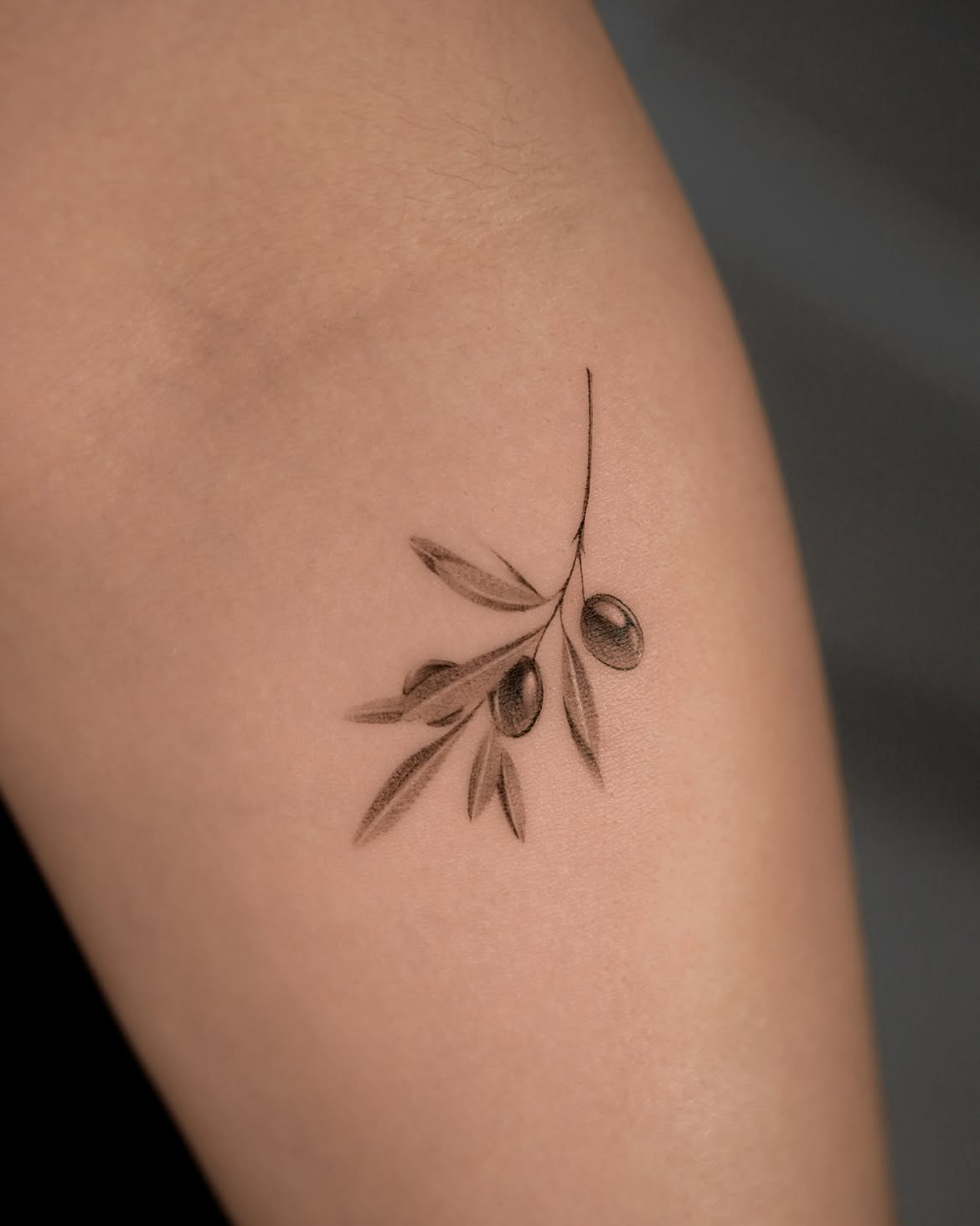 31 Olive Branch Tattoo Ideas 2026: Fine Line, Dainty and Meaningful Designs