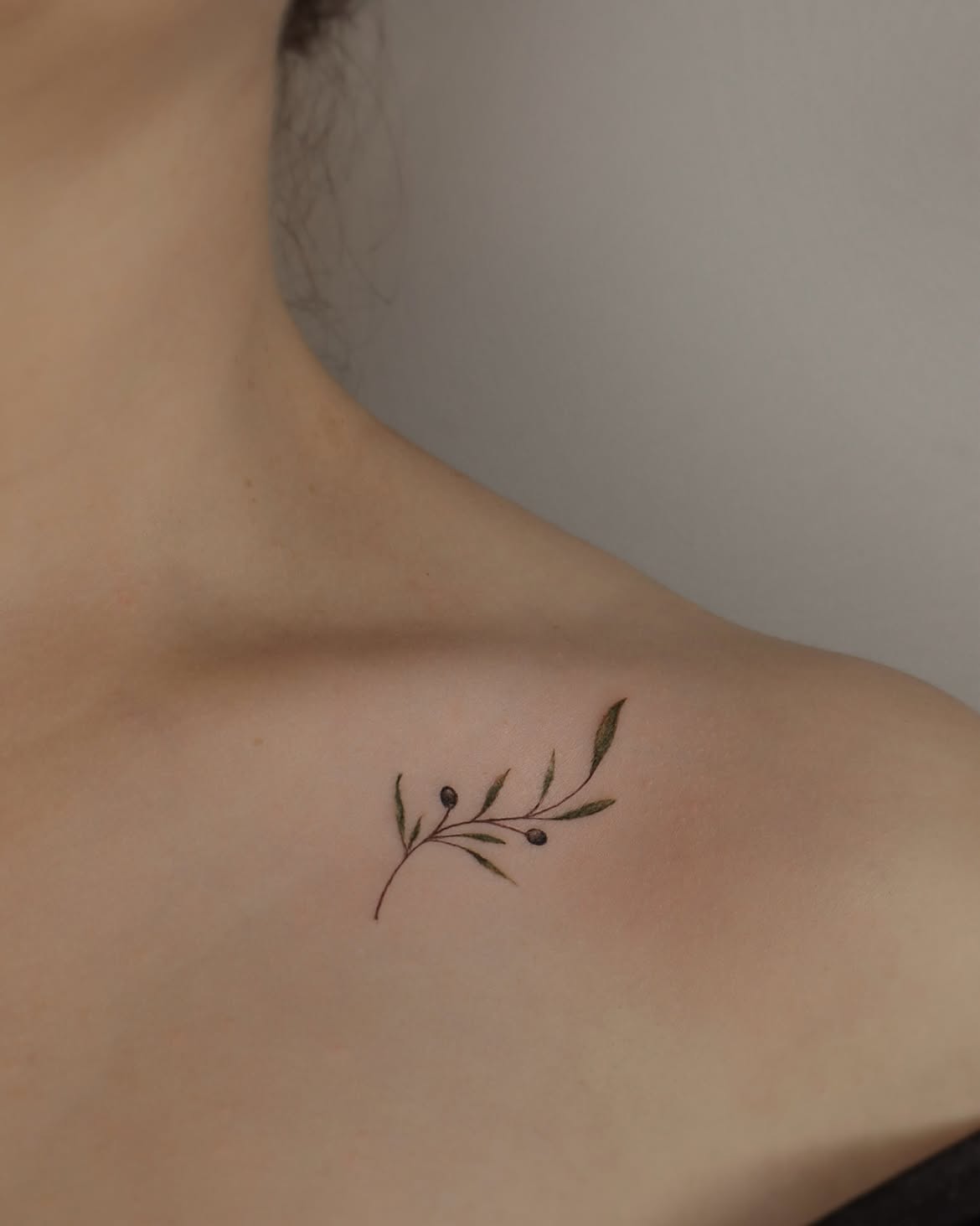 31 Olive Branch Tattoo Ideas 2026: Fine Line, Dainty and Meaningful Designs