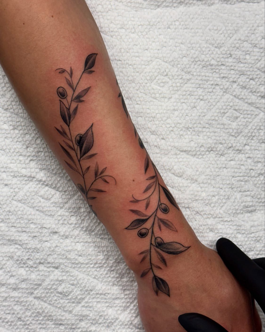 31 Olive Branch Tattoo Ideas 2026: Fine Line, Dainty and Meaningful Designs