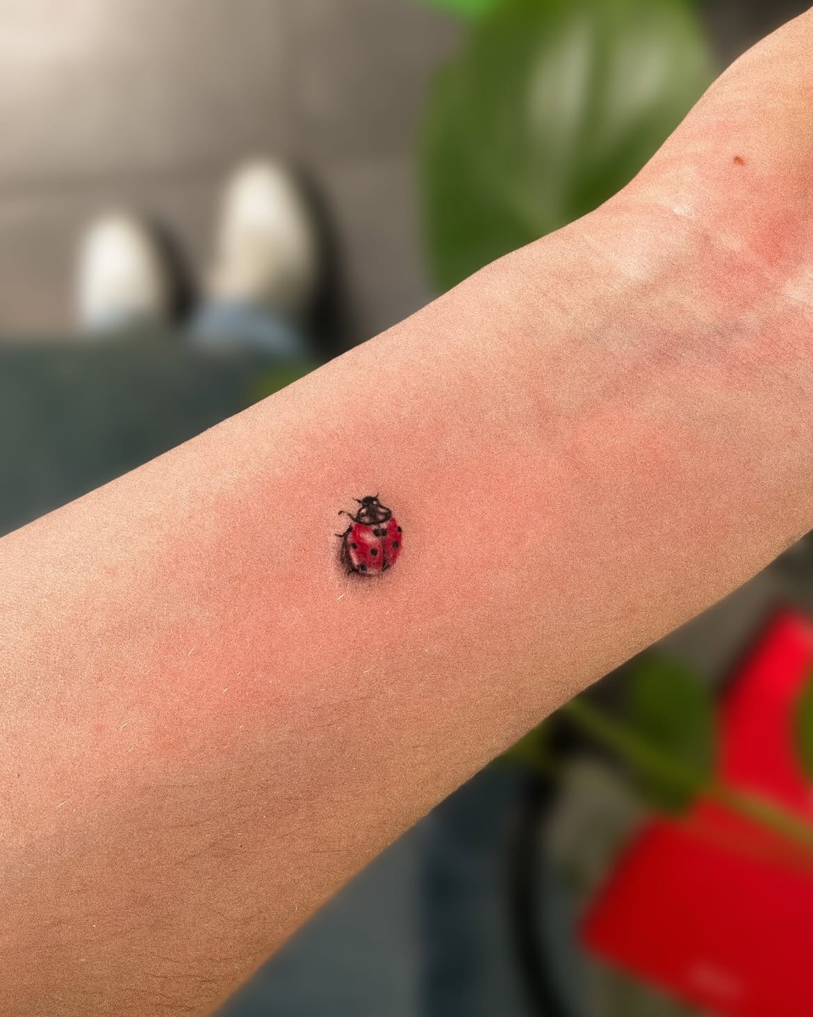 30 Ladybug Tattoo Ideas 2026: Tiny, Realistic and Creative Designs