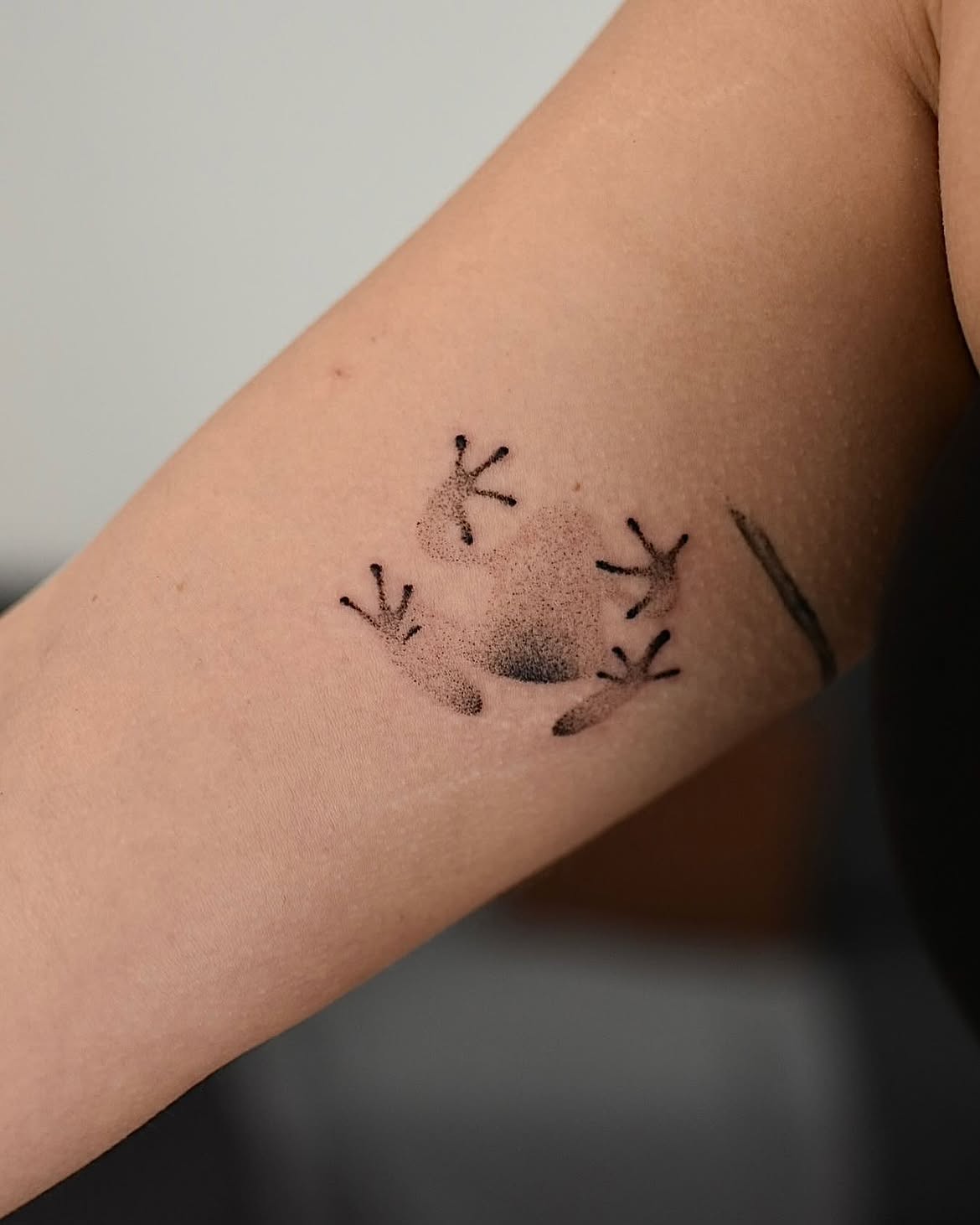 28 Frog Tattoo Ideas: Creative Designs From Tiny Frogs to Bold Tropical Art