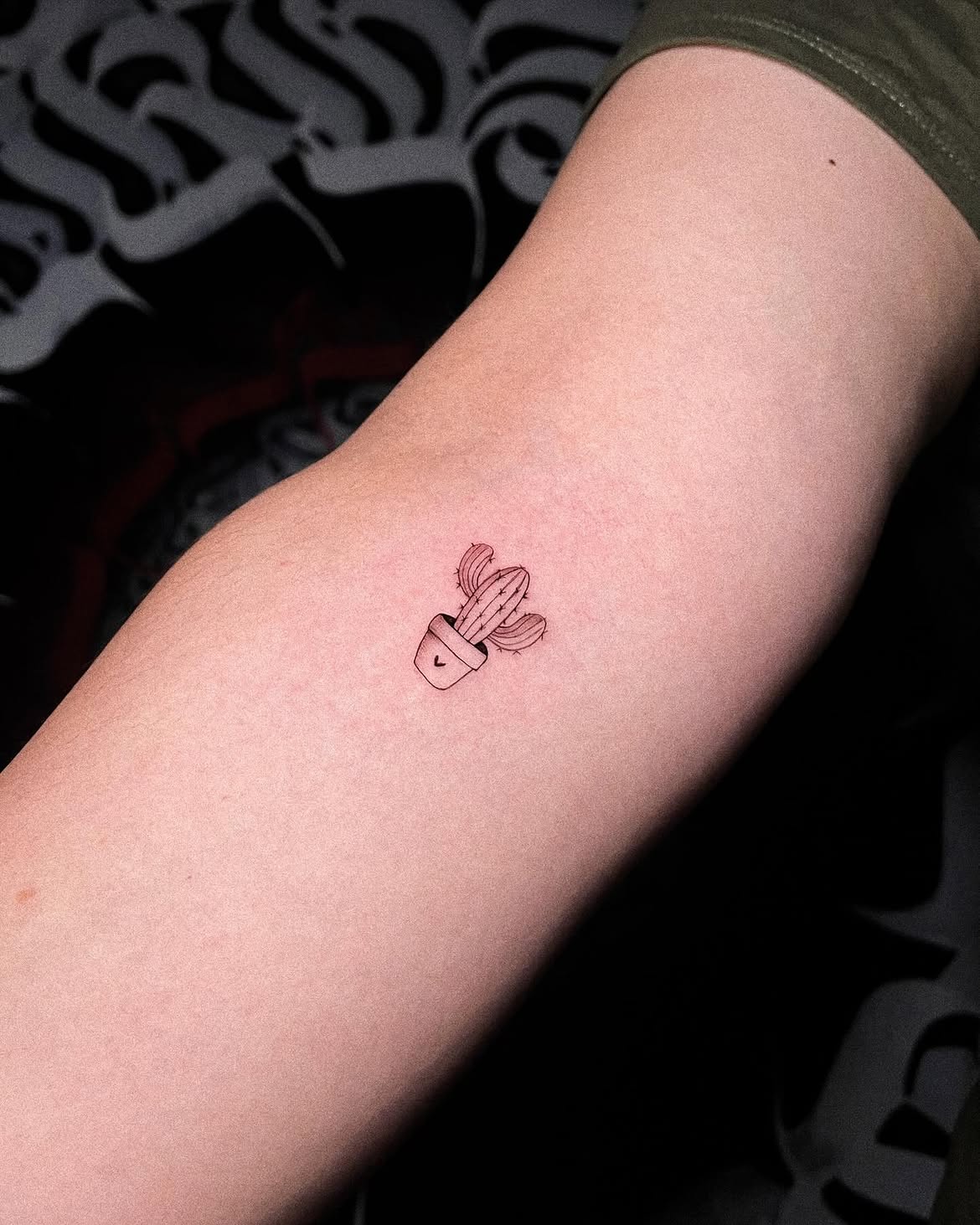 27 Cactus Tattoo Ideas 2026: Desert-Inspired Designs from Fine Line to Color