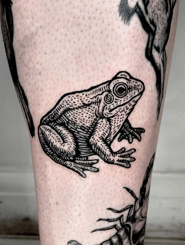 28 Frog Tattoo Ideas: Creative Designs From Tiny Frogs to Bold Tropical Art