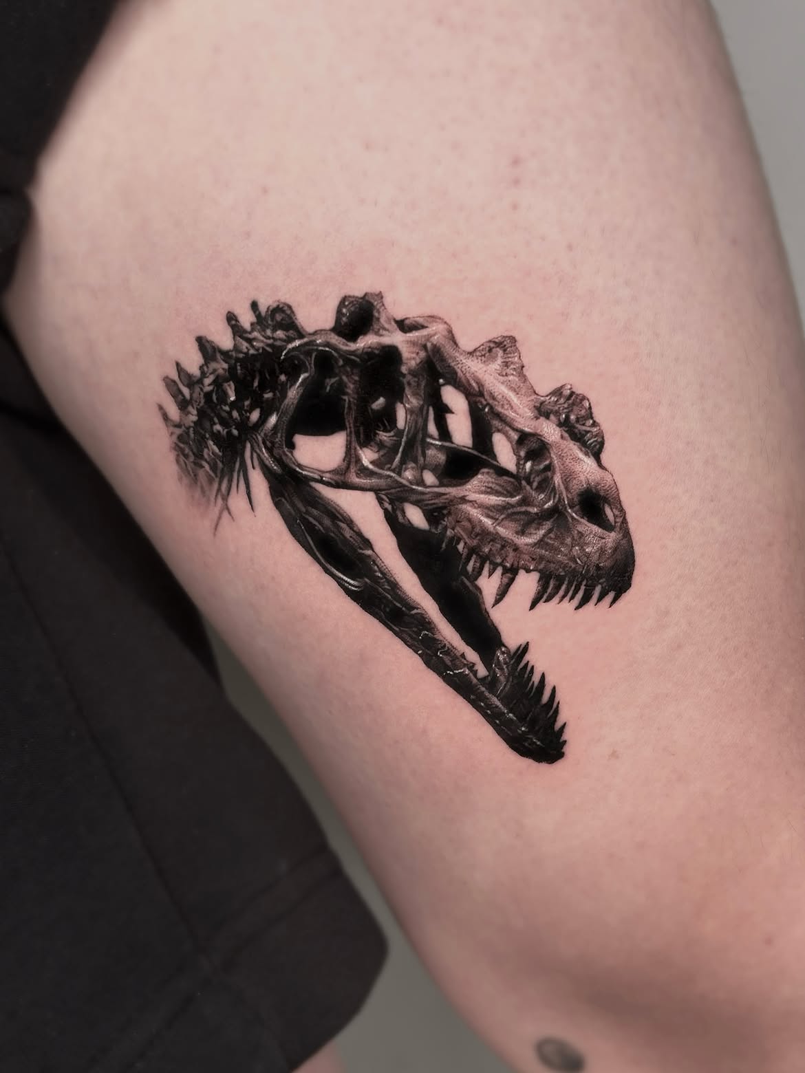 30 Dinosaur Tattoo Ideas: Creative, Cute, Realistic and Unique Prehistoric Designs