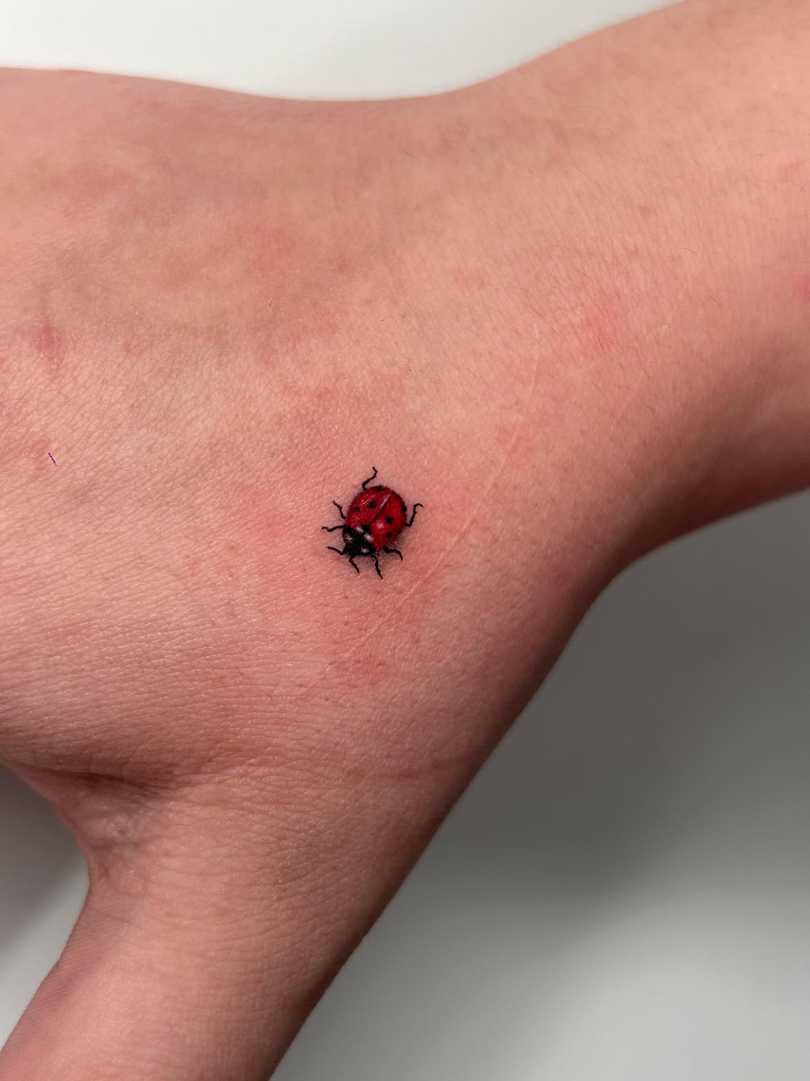 30 Ladybug Tattoo Ideas 2026: Tiny, Realistic and Creative Designs