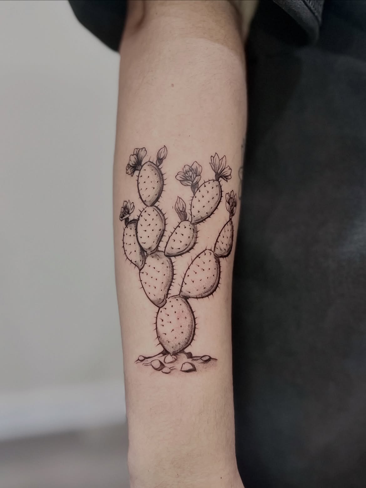 27 Cactus Tattoo Ideas 2026: Desert-Inspired Designs from Fine Line to Color