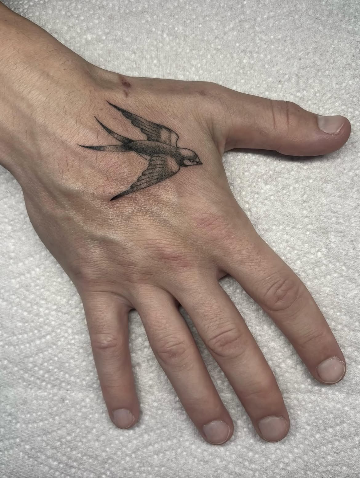 28 Swallow Tattoo Ideas 2026: Elegant Designs, Symbolism and Placement Inspiration