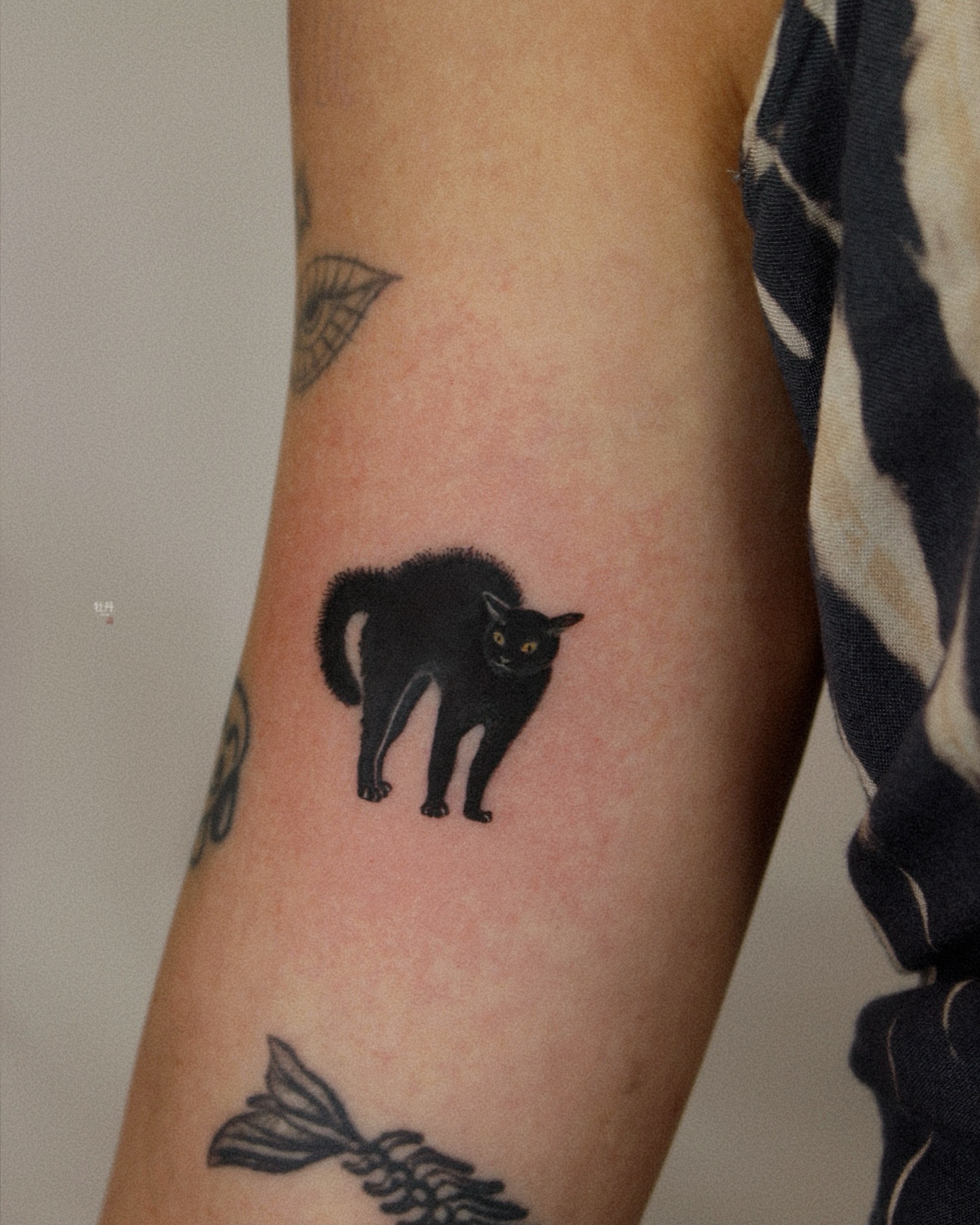 27 Black Cat Tattoo Ideas 2026: Playful, Minimalist and Mysterious Designs