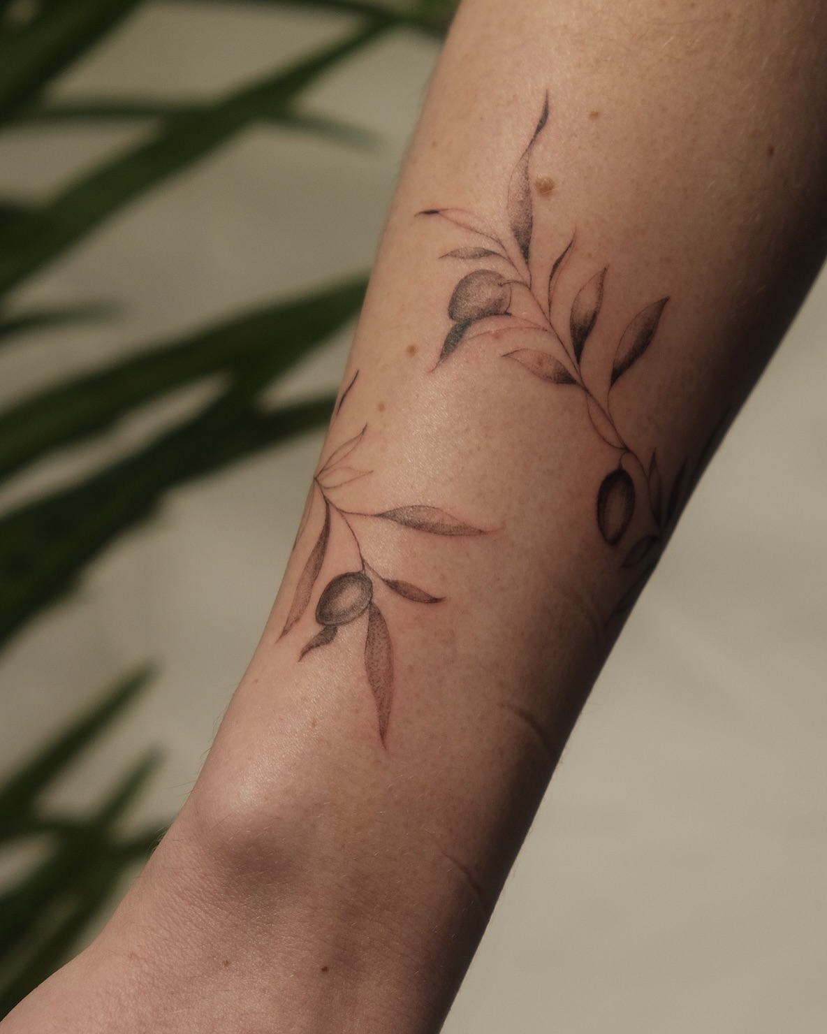 31 Olive Branch Tattoo Ideas 2026: Fine Line, Dainty and Meaningful Designs