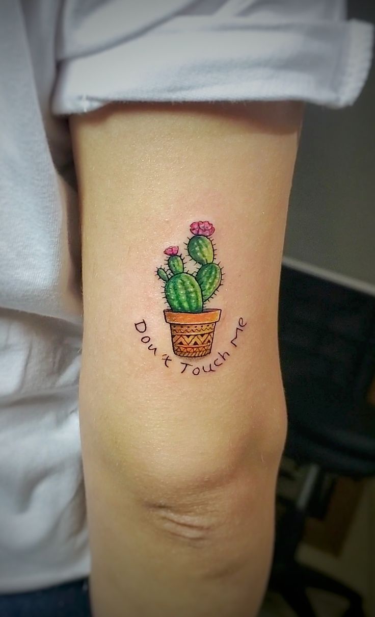 27 Cactus Tattoo Ideas 2026: Desert-Inspired Designs from Fine Line to Color