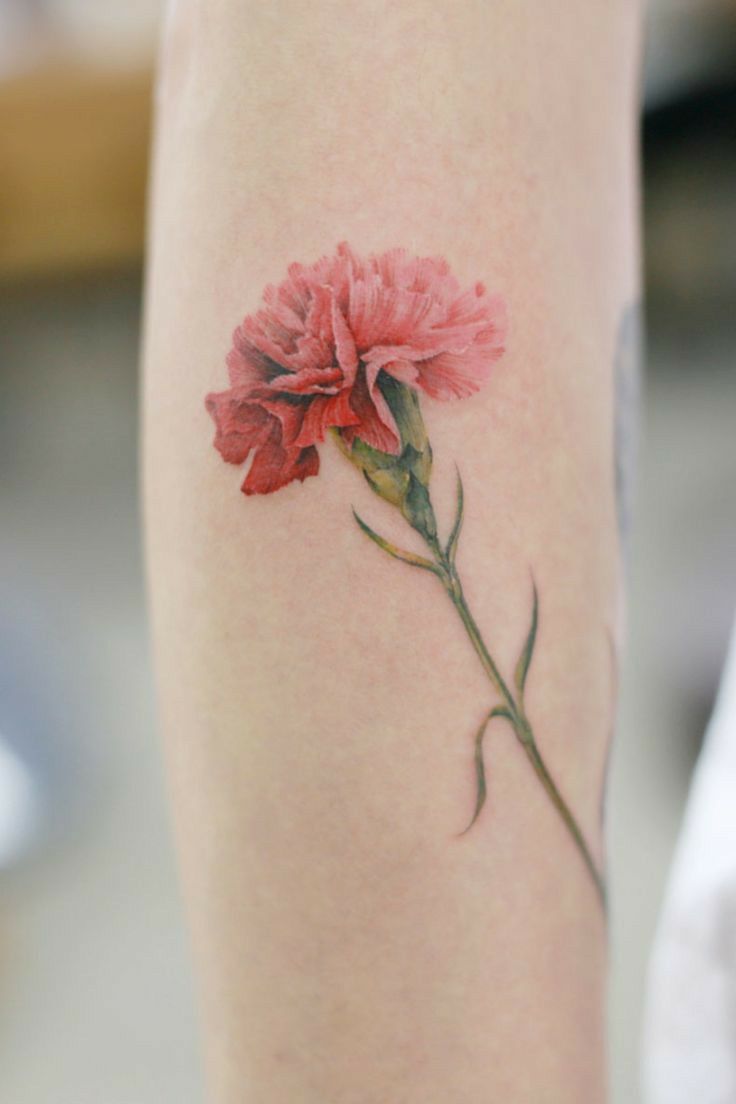 28 Carnation Tattoo Ideas 2026: Delicate Florals, Fine Lines, and Rich Red Ink