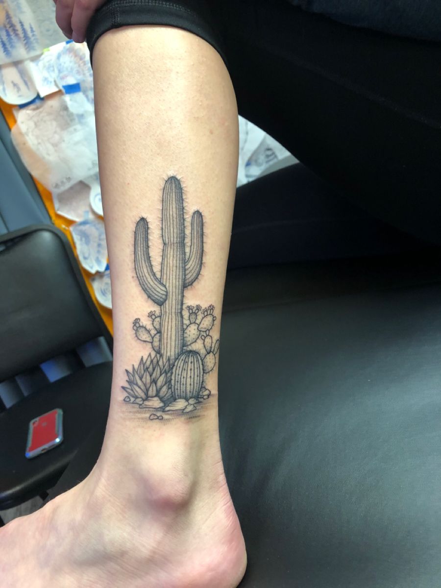 27 Cactus Tattoo Ideas 2026: Desert-Inspired Designs from Fine Line to Color