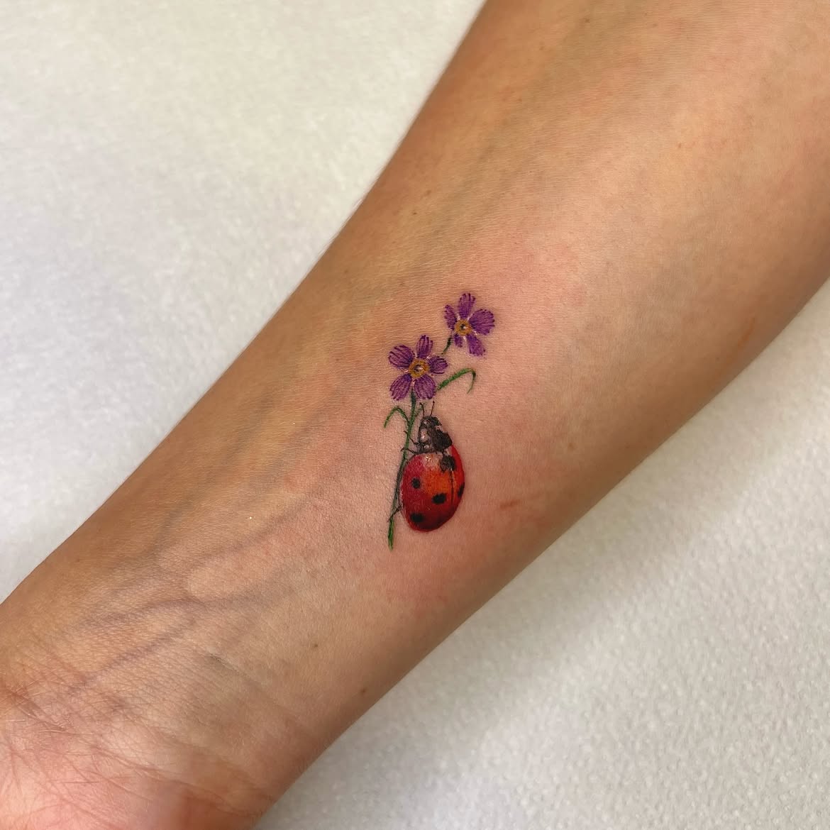 30 Ladybug Tattoo Ideas 2026: Tiny, Realistic and Creative Designs
