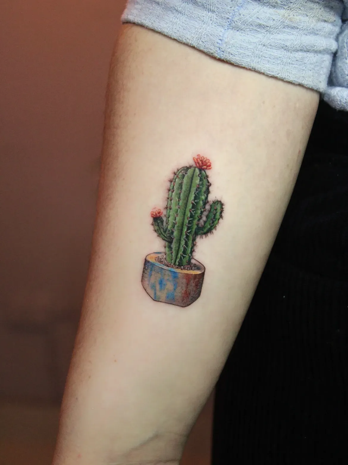 27 Cactus Tattoo Ideas 2026: Desert-Inspired Designs from Fine Line to Color