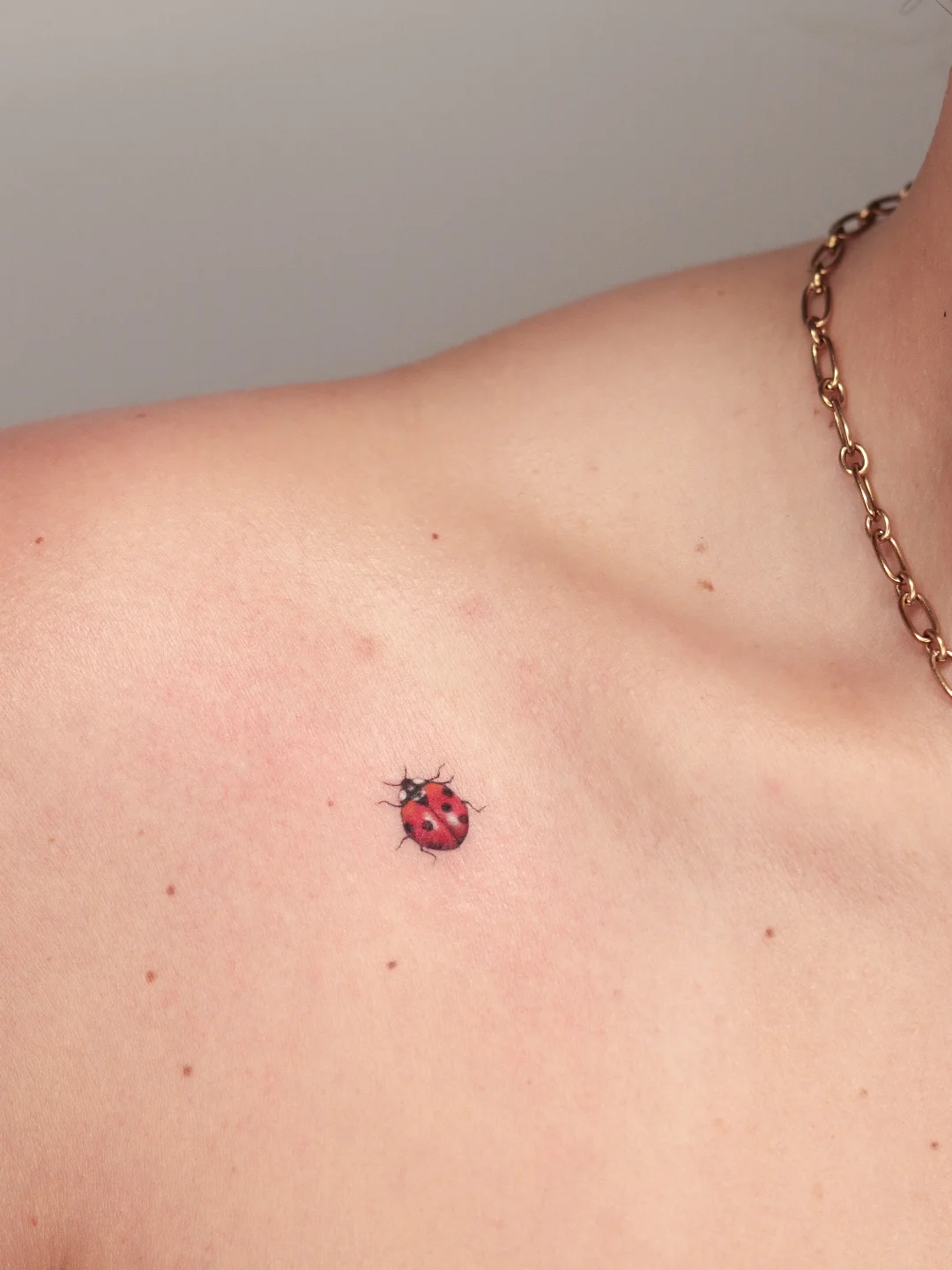 30 Ladybug Tattoo Ideas 2026: Tiny, Realistic and Creative Designs