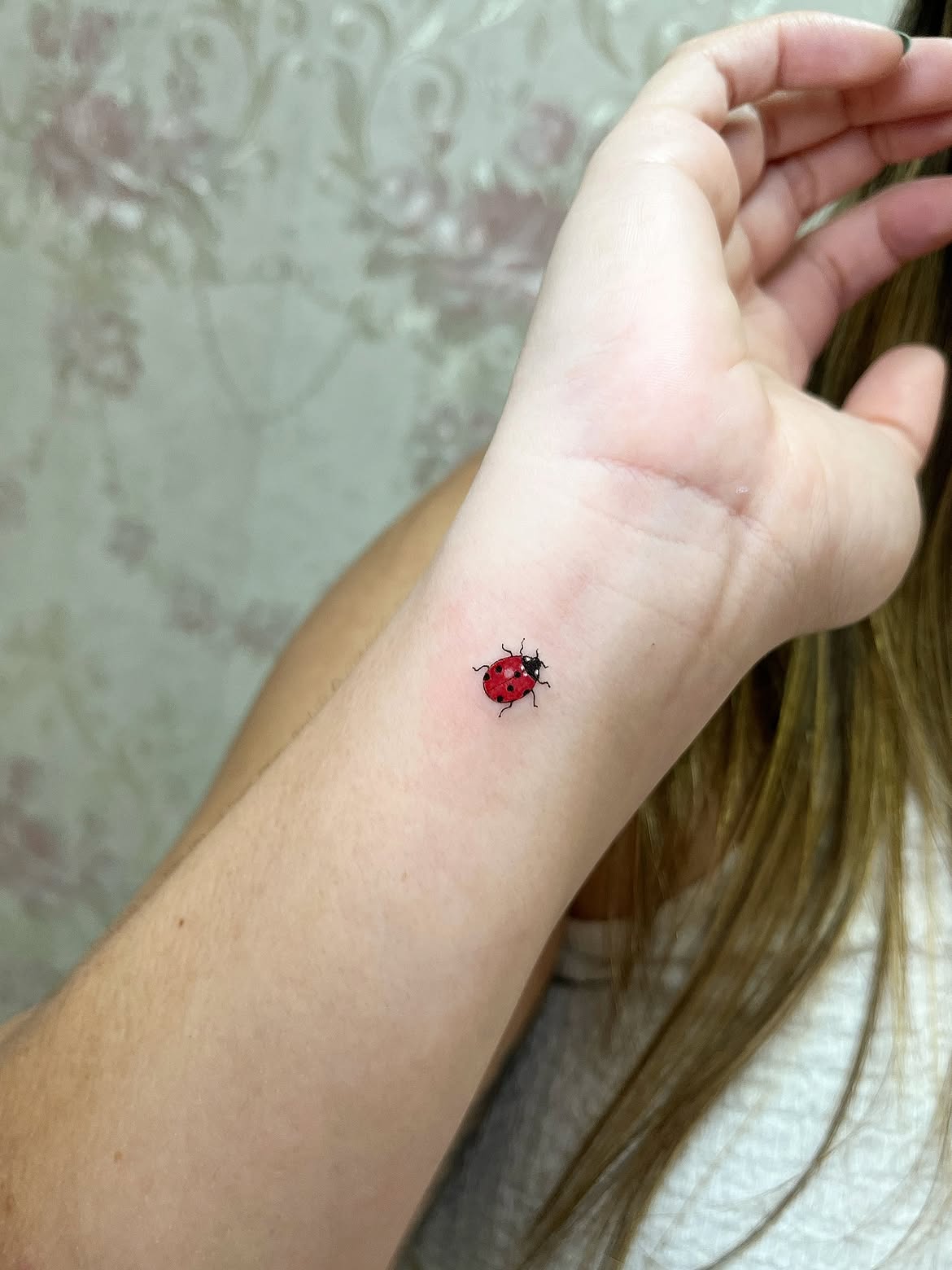 30 Ladybug Tattoo Ideas 2026: Tiny, Realistic and Creative Designs
