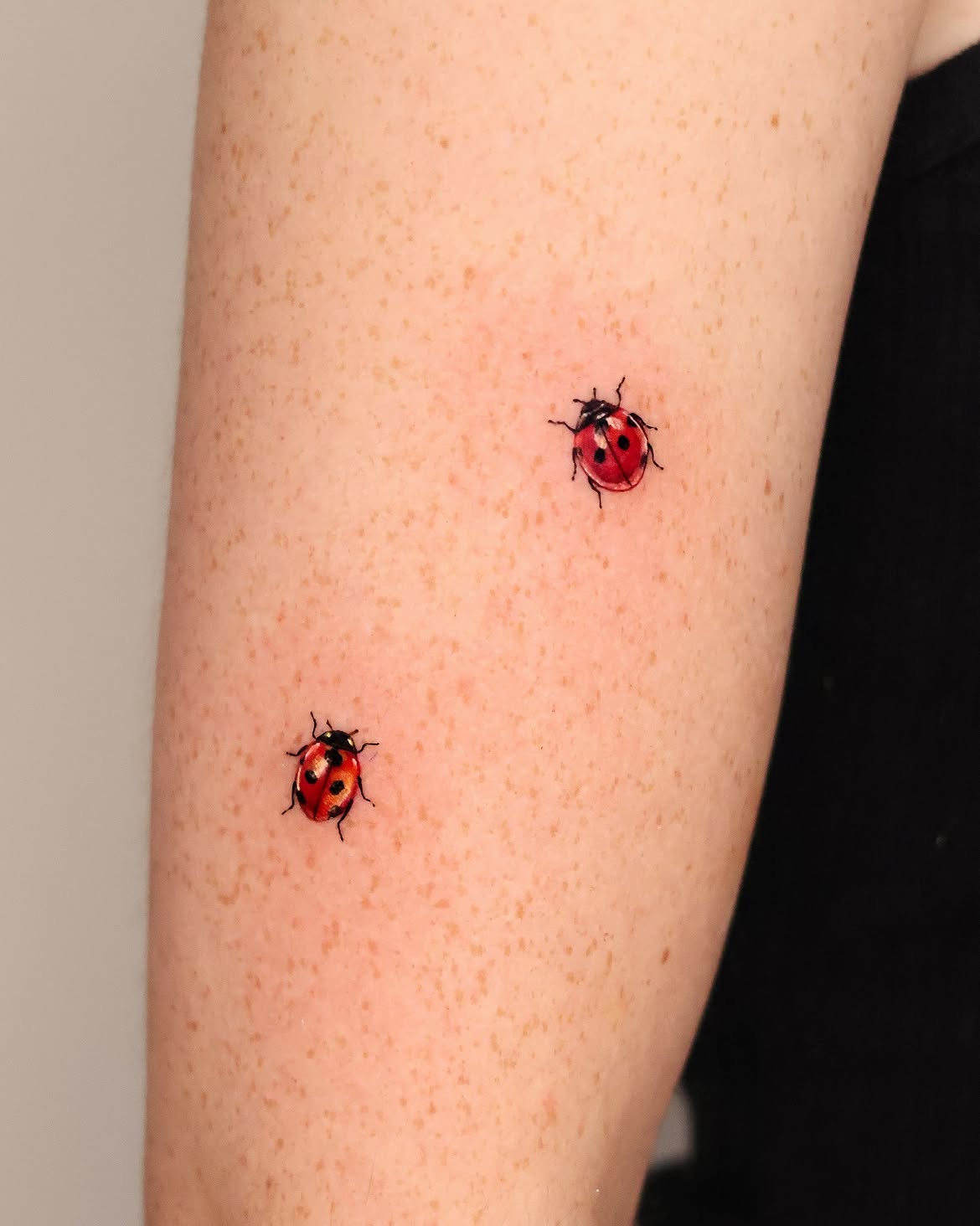 30 Ladybug Tattoo Ideas 2026: Tiny, Realistic and Creative Designs