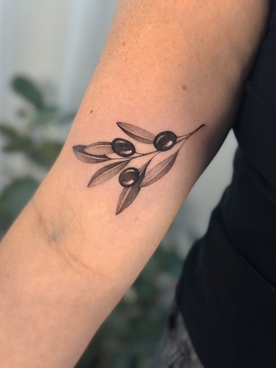 31 Olive Branch Tattoo Ideas 2026: Fine Line, Dainty and Meaningful Designs