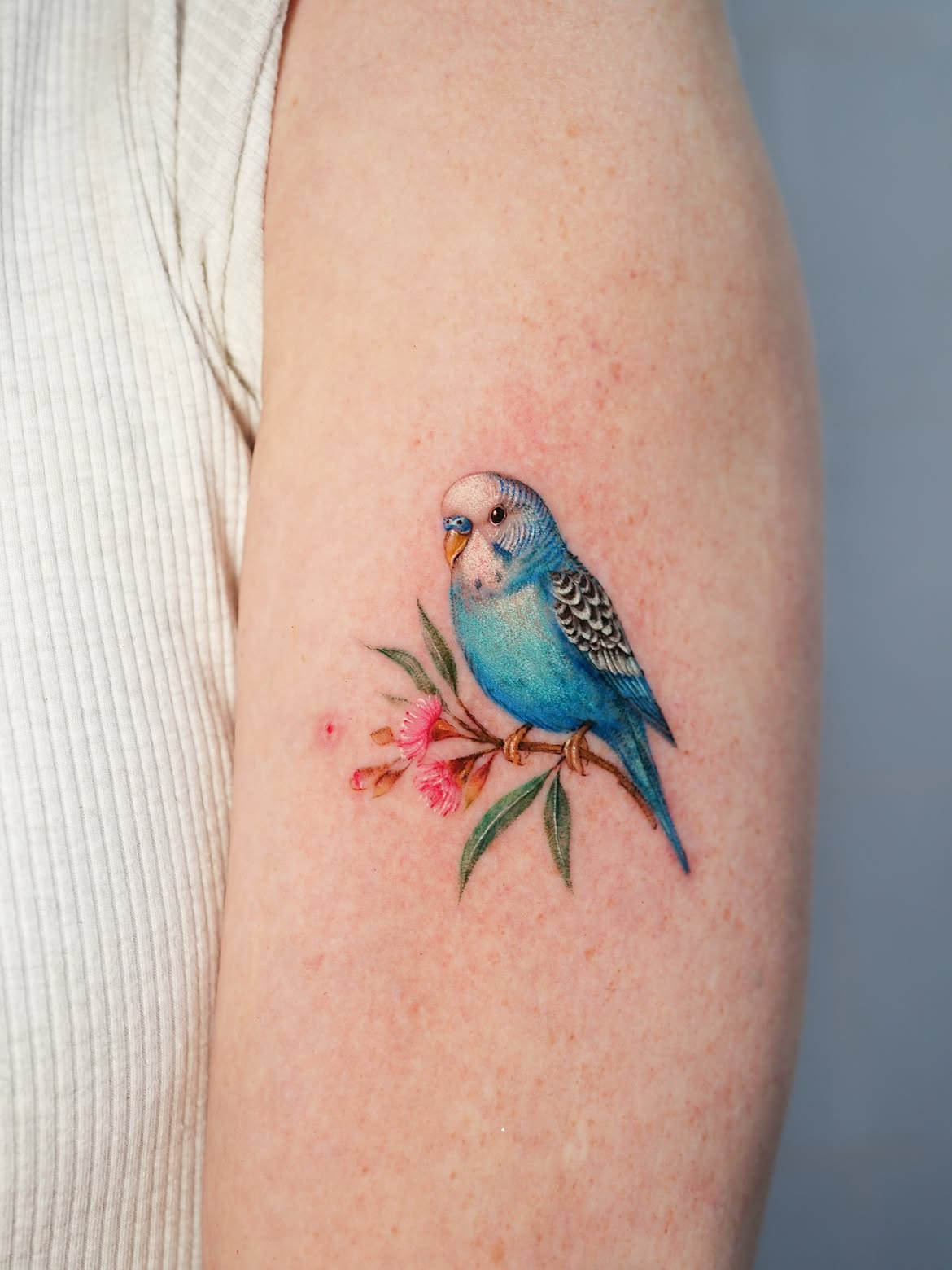 29 Bird Tattoo Ideas 2026: Beautiful Designs, Meaningful Symbols and Modern Inspiration